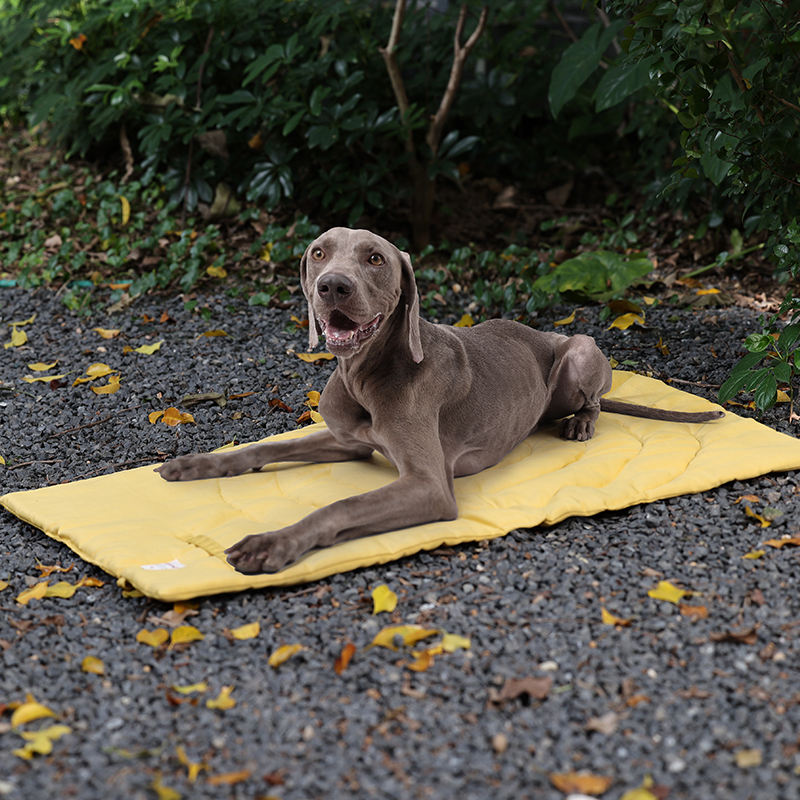 Przenośne mata dla zwierząt do – Outdoor Camping Rug recenzja i cena
